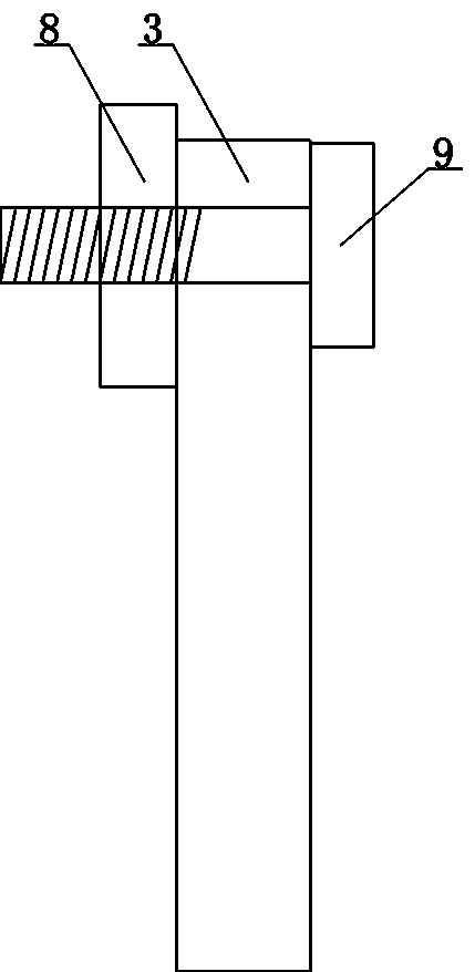 Fastening and straightening apparatus for transplanted trees