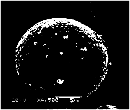 Lithium silicate-coated Ni-Co lithium aluminate positive electrode material and preparation method thereof