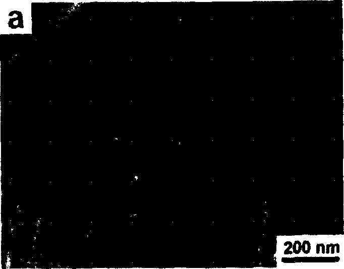 Carbon micromillimeter tube loading cerium dioxide micromillimete particles and method for making the same