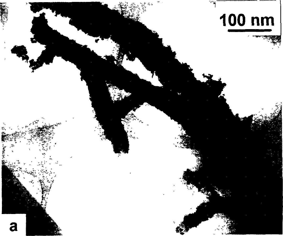 Carbon micromillimeter tube loading cerium dioxide micromillimete particles and method for making the same