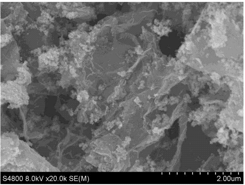 Method for preparing ferric vanadate-graphene negative electrode composite material