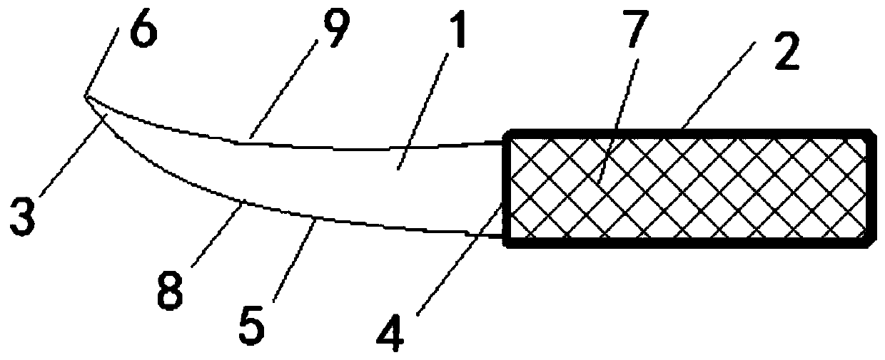 Shell-shaped mussel dissection tool with adaptive cutting board curvature