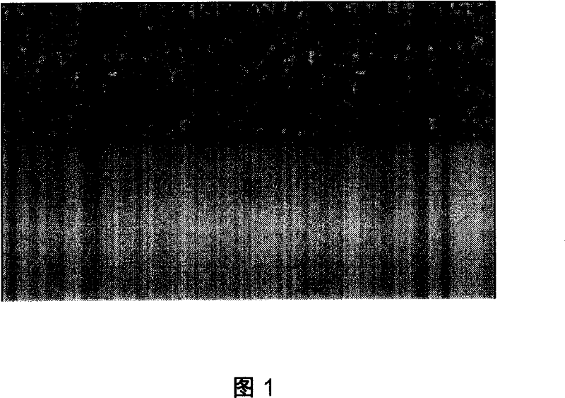 High-temperature alloy coating for gas turbine hot parts