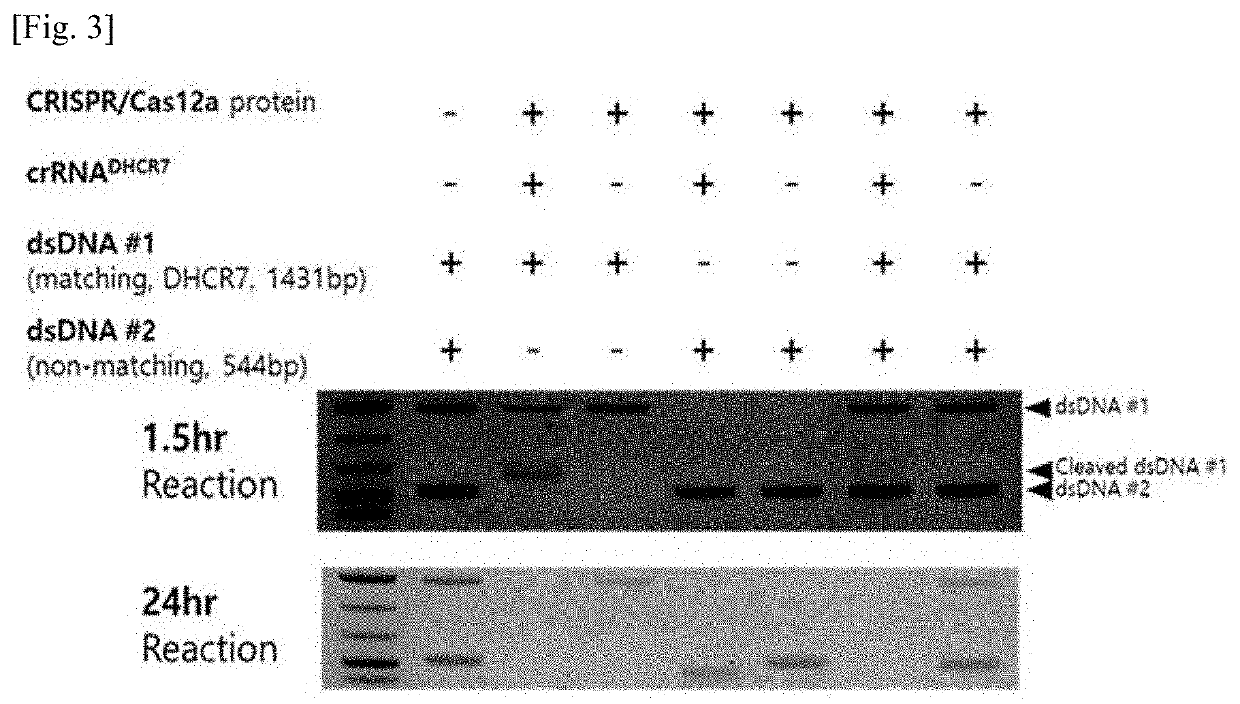 Pharmaceutical composition for treating cancer, containing guide RNA and endonuclease as active ingredients