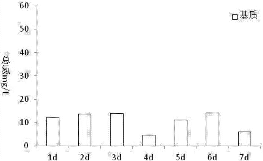 A soil-fixing fertility type matrix suitable for vertical green walls and a method for preparing the same