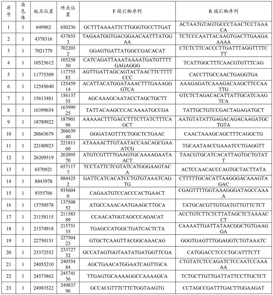 MNP marker site, primer composition and kit for cassava variety identification and application thereof