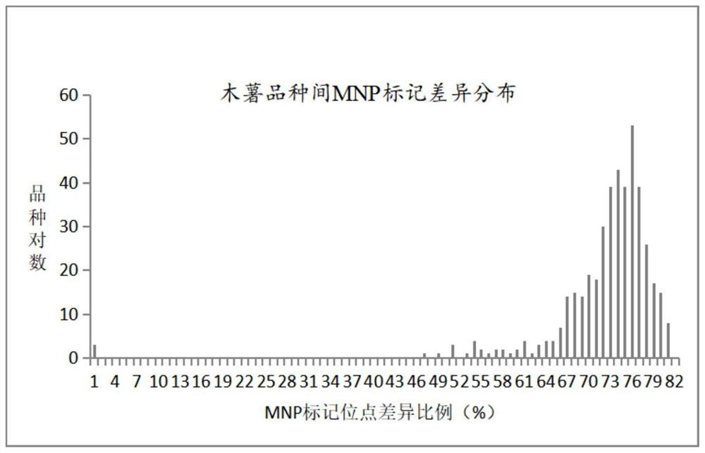 MNP marker site, primer composition and kit for cassava variety identification and application thereof