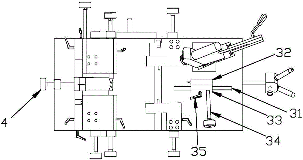 Shoe tree positioning device