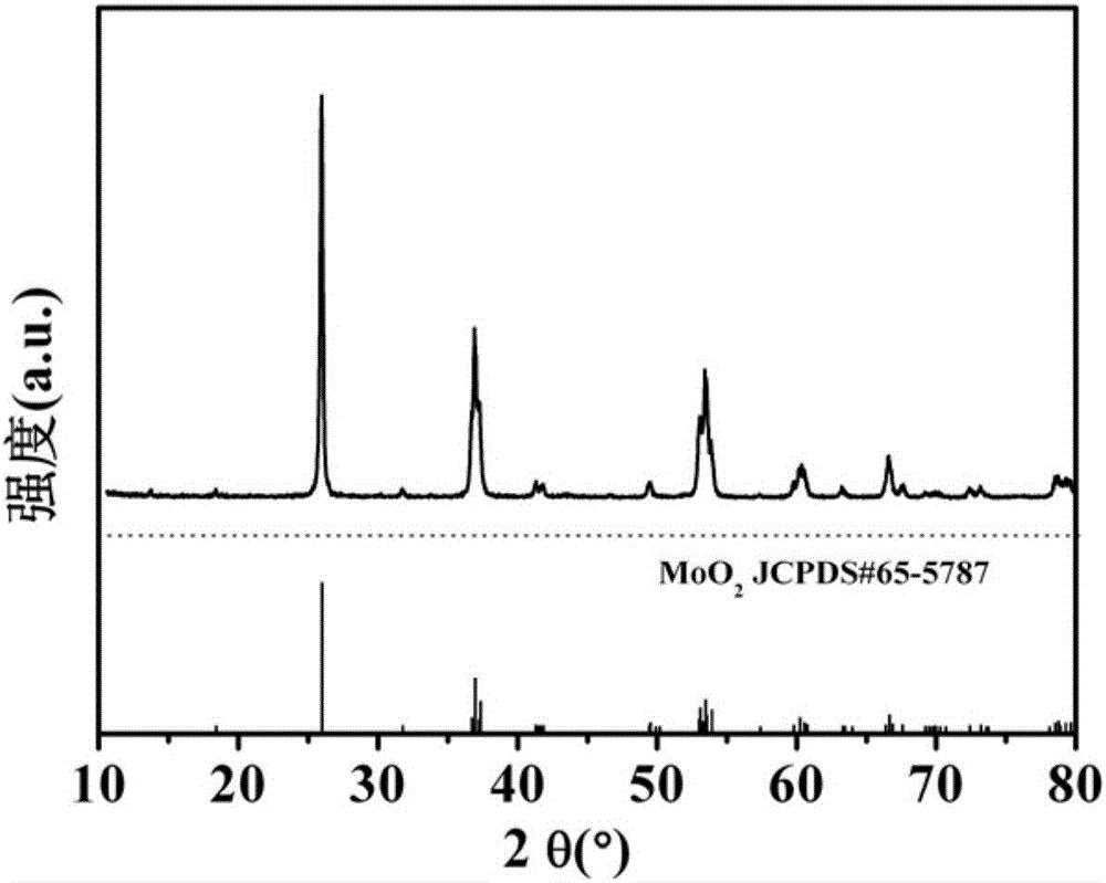 Preparation method of octahedral porous molybdenum dioxide and application of octahedral porous molybdenum dioxide in lithium-ion battery