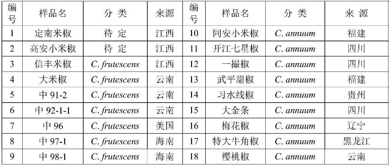 Method for quickly identifying idioplasm of capsicum frutescrens L. by using SSR (simple sequence repeat) molecular marker