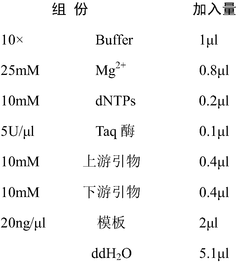 Method for quickly identifying idioplasm of capsicum frutescrens L. by using SSR (simple sequence repeat) molecular marker