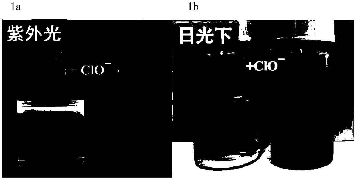 Fluorescence probe molecule as well as preparation method and application thereof to hypochlorite ion detection