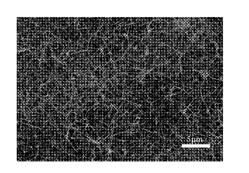 Method for preparing zinc oxide nanowire film