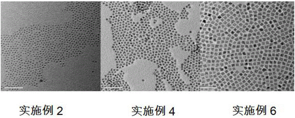 Preparation method of ZnCdSe/ZnS quantum dots