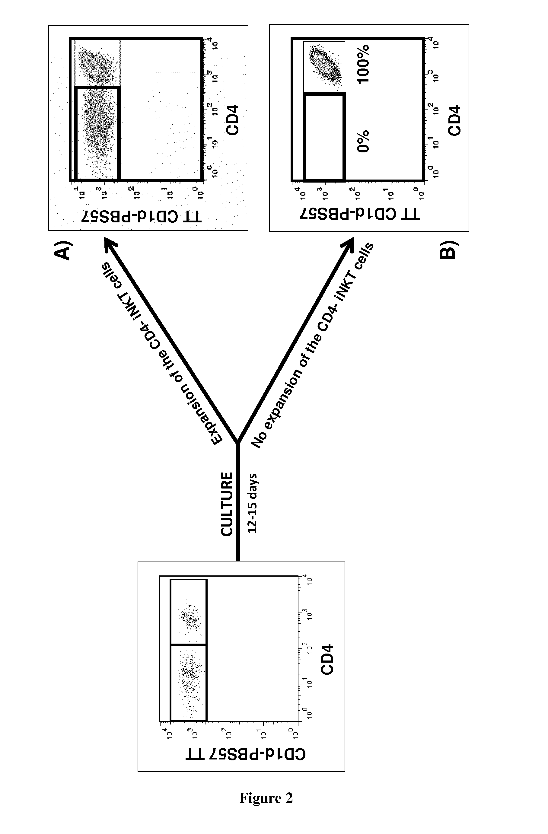 Methods for determining the risk of acute graft versus host disease