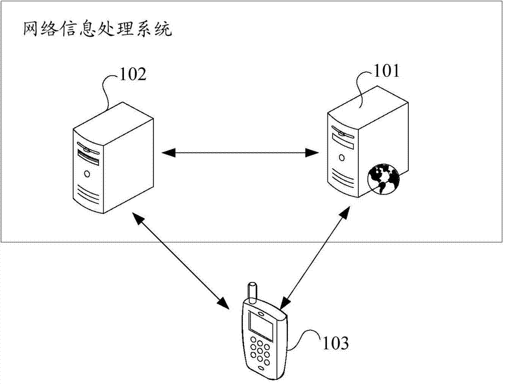 Network information processing system and method