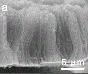 Pyrrole and 3,4-ethylenedioxythiophene copolymerization nanowire array and preparation method