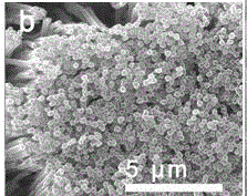 Pyrrole and 3,4-ethylenedioxythiophene copolymerization nanowire array and preparation method