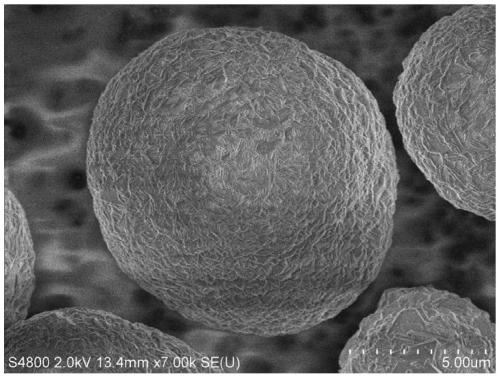 Preparation method of radial structure spherical NCM811 type ternary positive electrode material