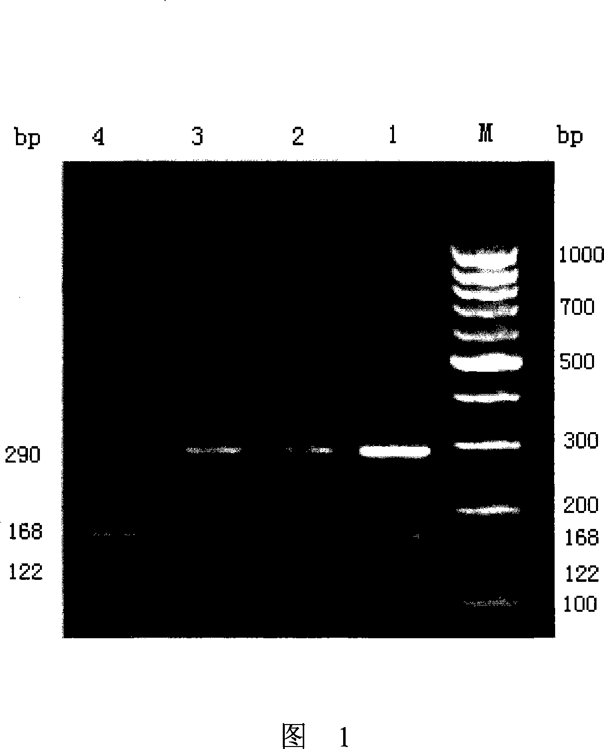 Method for confirming warfarin dose of Chinese population individuals