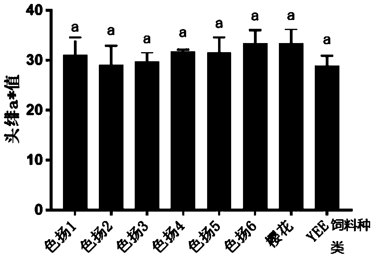 Cyprinus carpio L. color enhancer compound feed and preparation method and application thereof