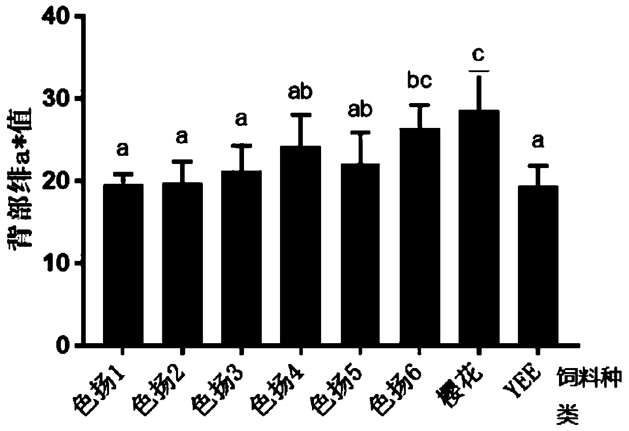 Cyprinus carpio L. color enhancer compound feed and preparation method and application thereof