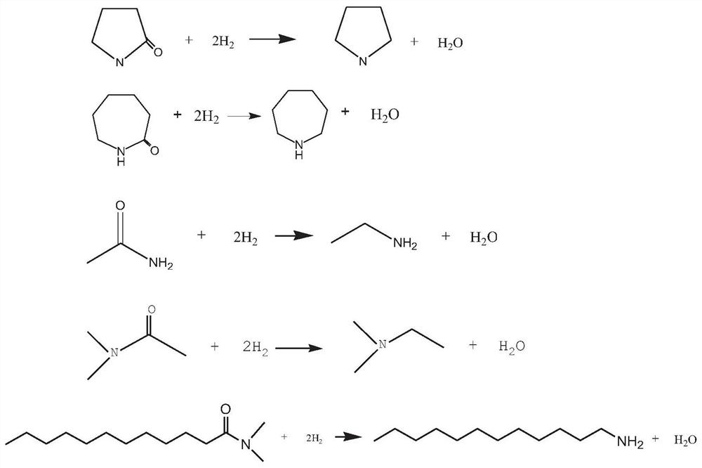 Amide hydrodeoxygenation method