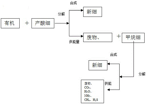 Culture waste water energy self circulation disposal system and method thereof