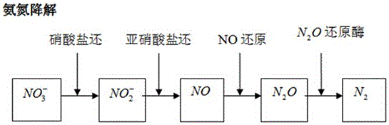 Culture waste water energy self circulation disposal system and method thereof