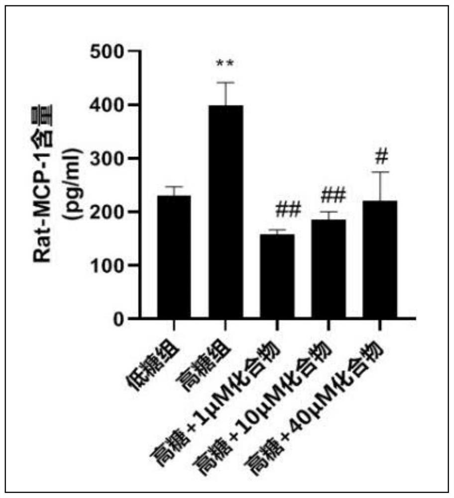 Ferulic acid derivative as well as preparation method and application thereof