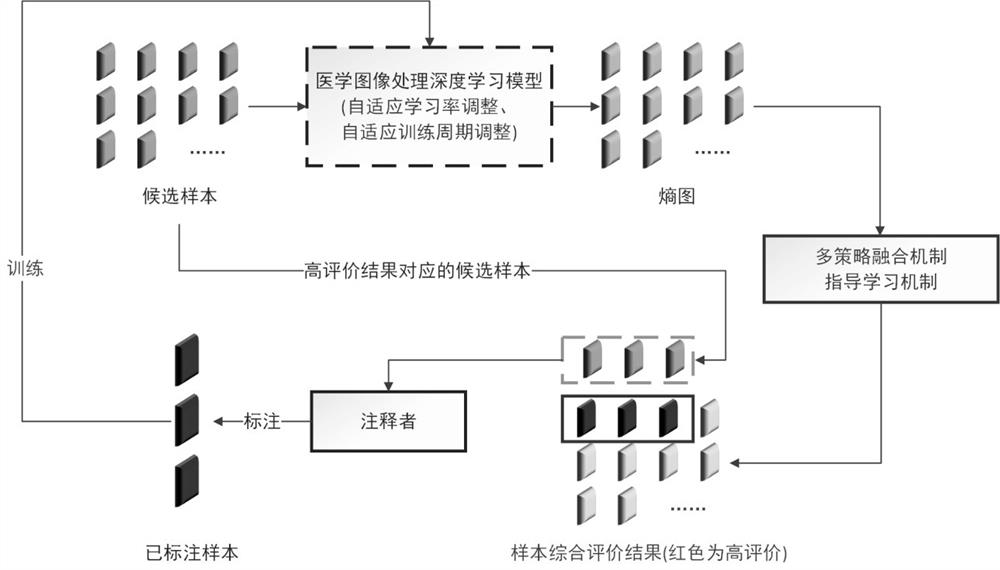 Medical image processing and analysis method and system, computer device and storage medium