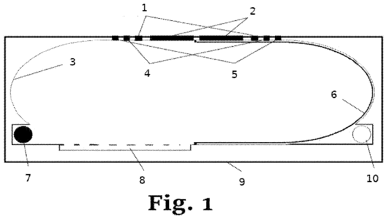 Dual purpose intermodal tank container