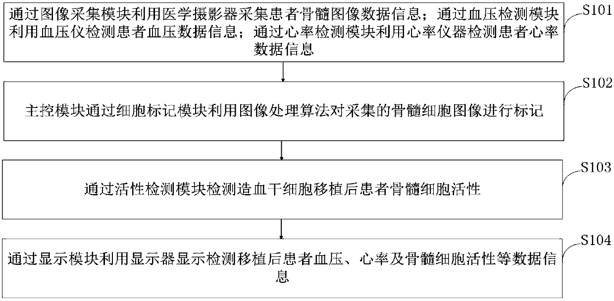 System and method for measuring microcirculation environment of bone marrow of patients after hematopoietic stem cell transplantation