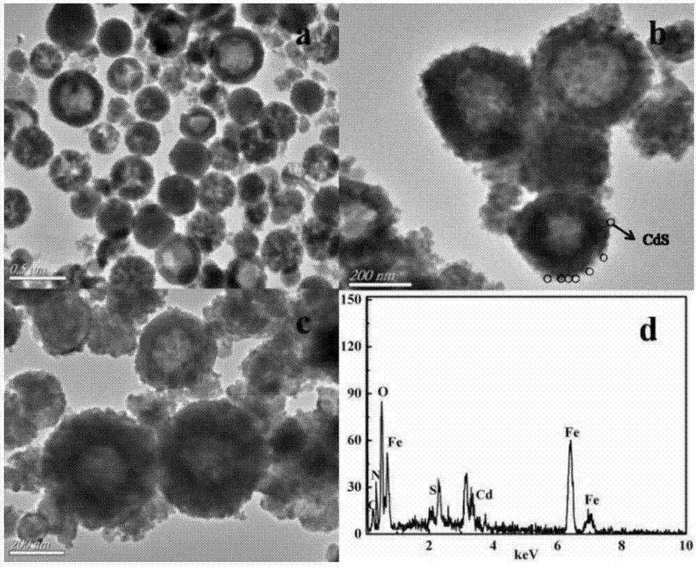 Magnetic composite photocatalyst Ppy@CdS/ZnFe2O4 and preparation method and application thereof