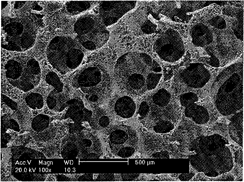 Polylactic acid/chitosan composite nano fiber scaffold, preparation method and application thereof