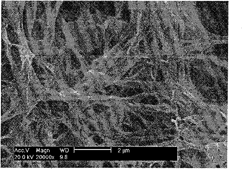 Polylactic acid/chitosan composite nano fiber scaffold, preparation method and application thereof