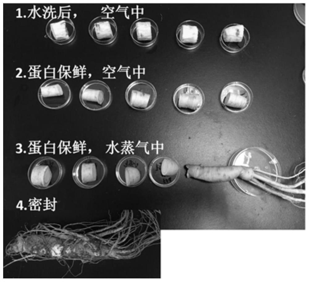 Fresh-keeping method for small and medium-sized traditional Chinese medicinal materials