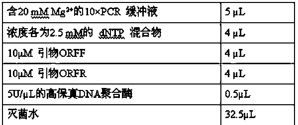 Diamondback moth cecropin 3, preparation method and application thereof