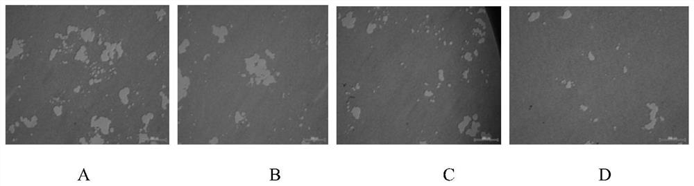 Method for preparing bone filling material by doping lithium citrate into hydroxyapatite nanoparticles