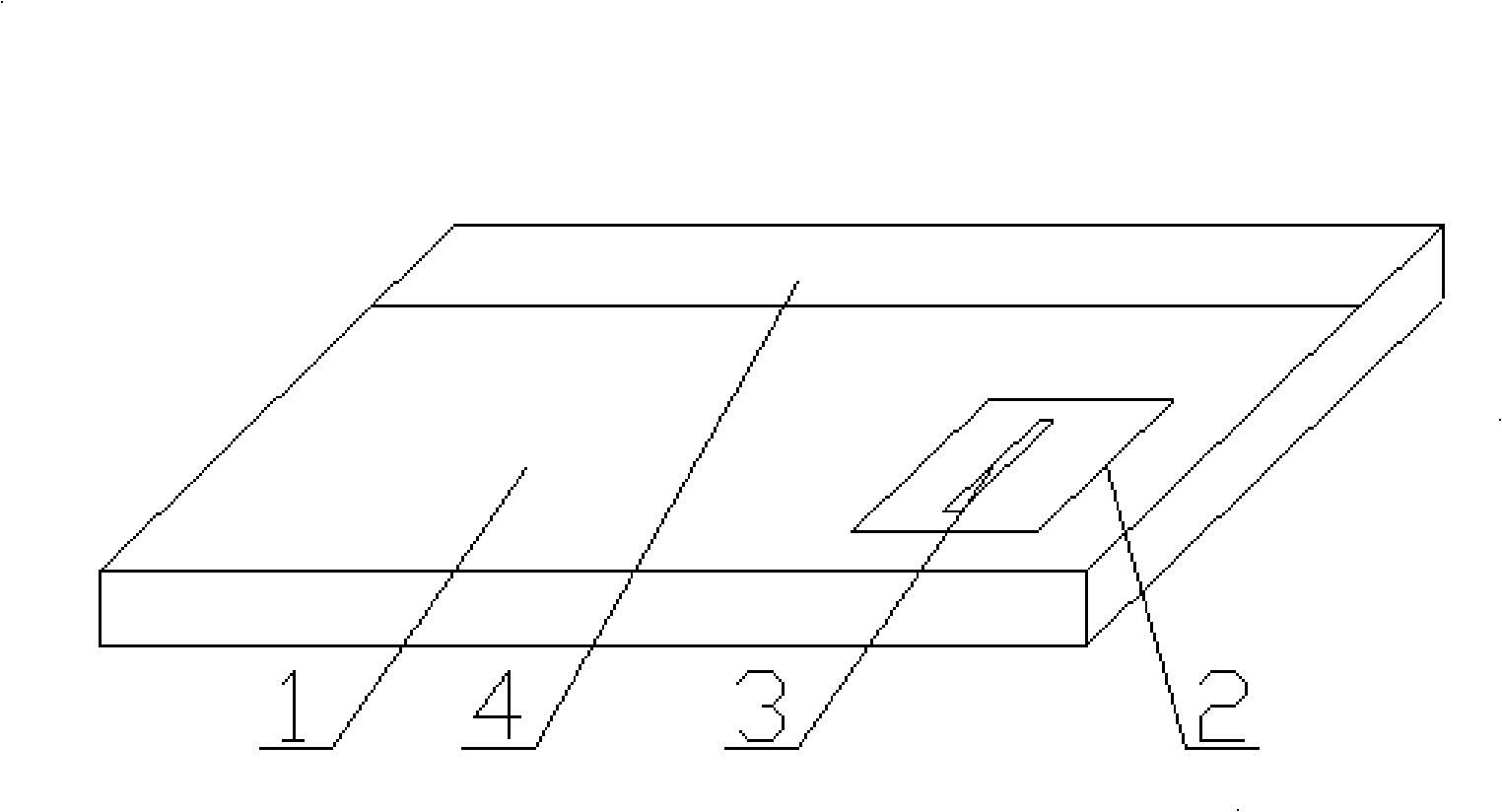 Primary state genome life information chip and manufacture method