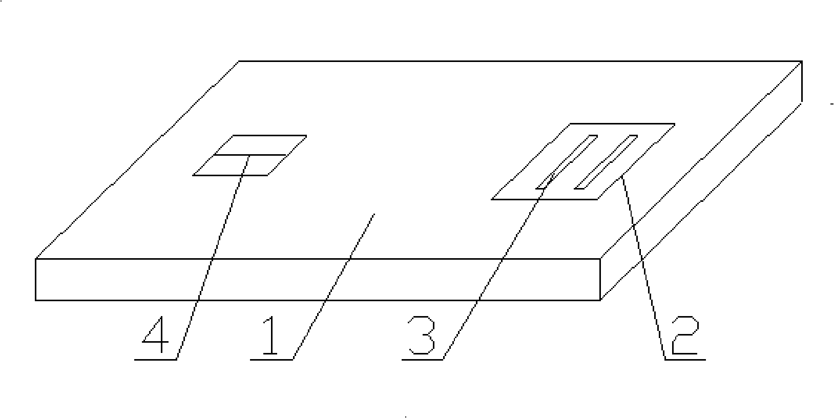 Primary state genome life information chip and manufacture method