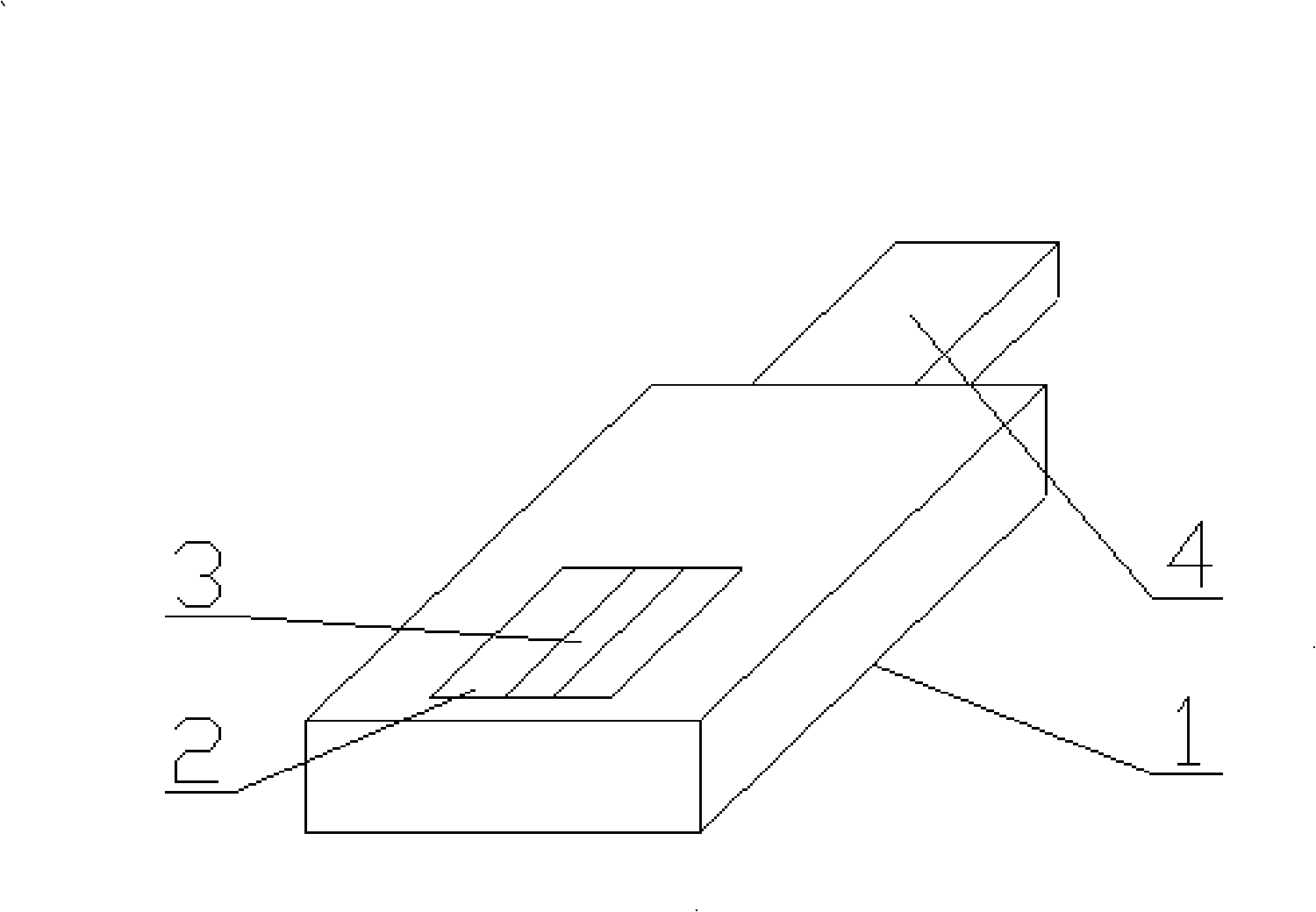 Primary state genome life information chip and manufacture method