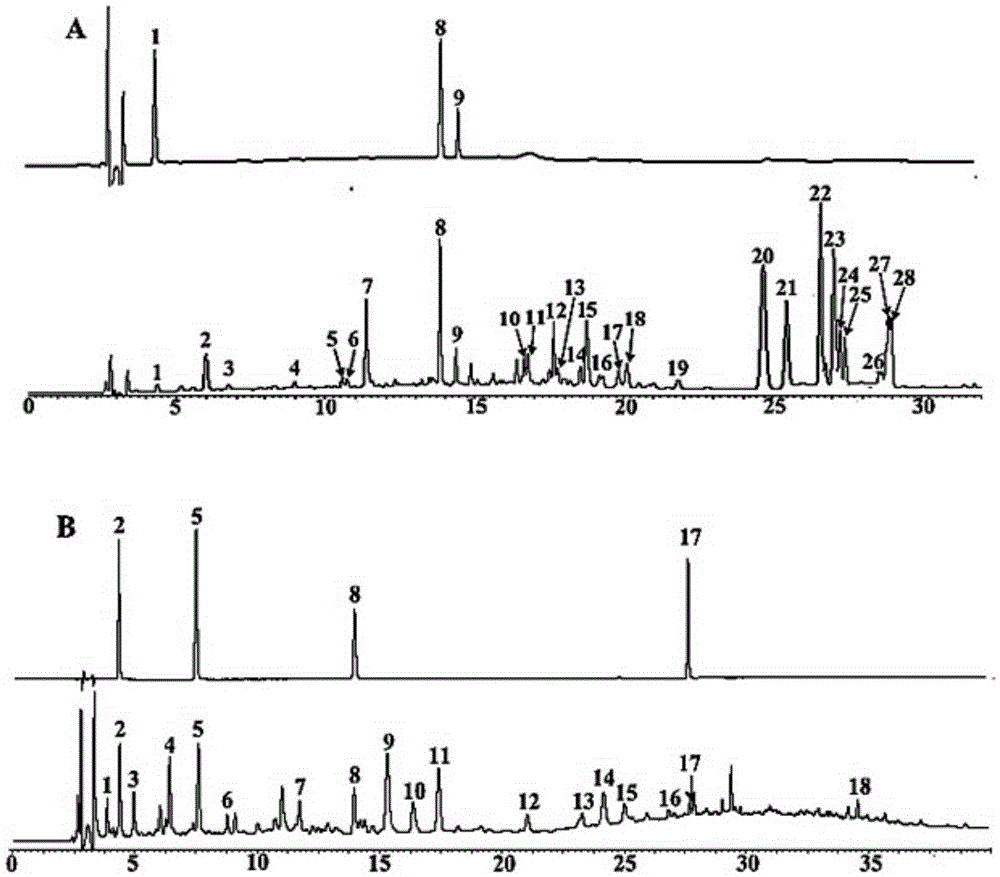 Characteristic map detection method of powerful gastrodia elata-eucommia ulmoides capsules