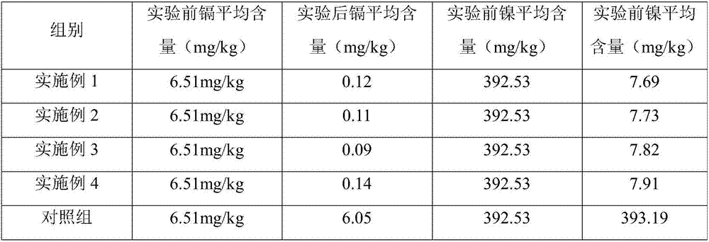 Functional soil conditioner and preparation method thereof