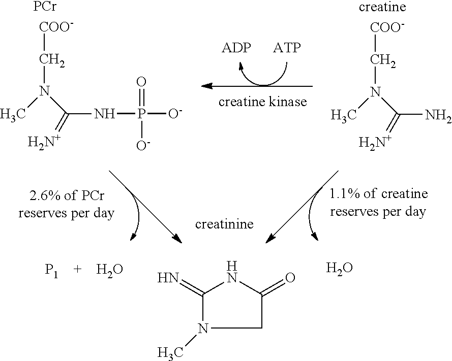 Stable creatine beverages