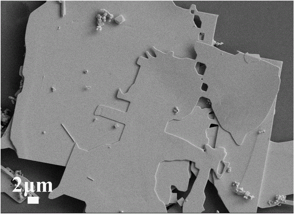 PbS nano-sheet preparation method