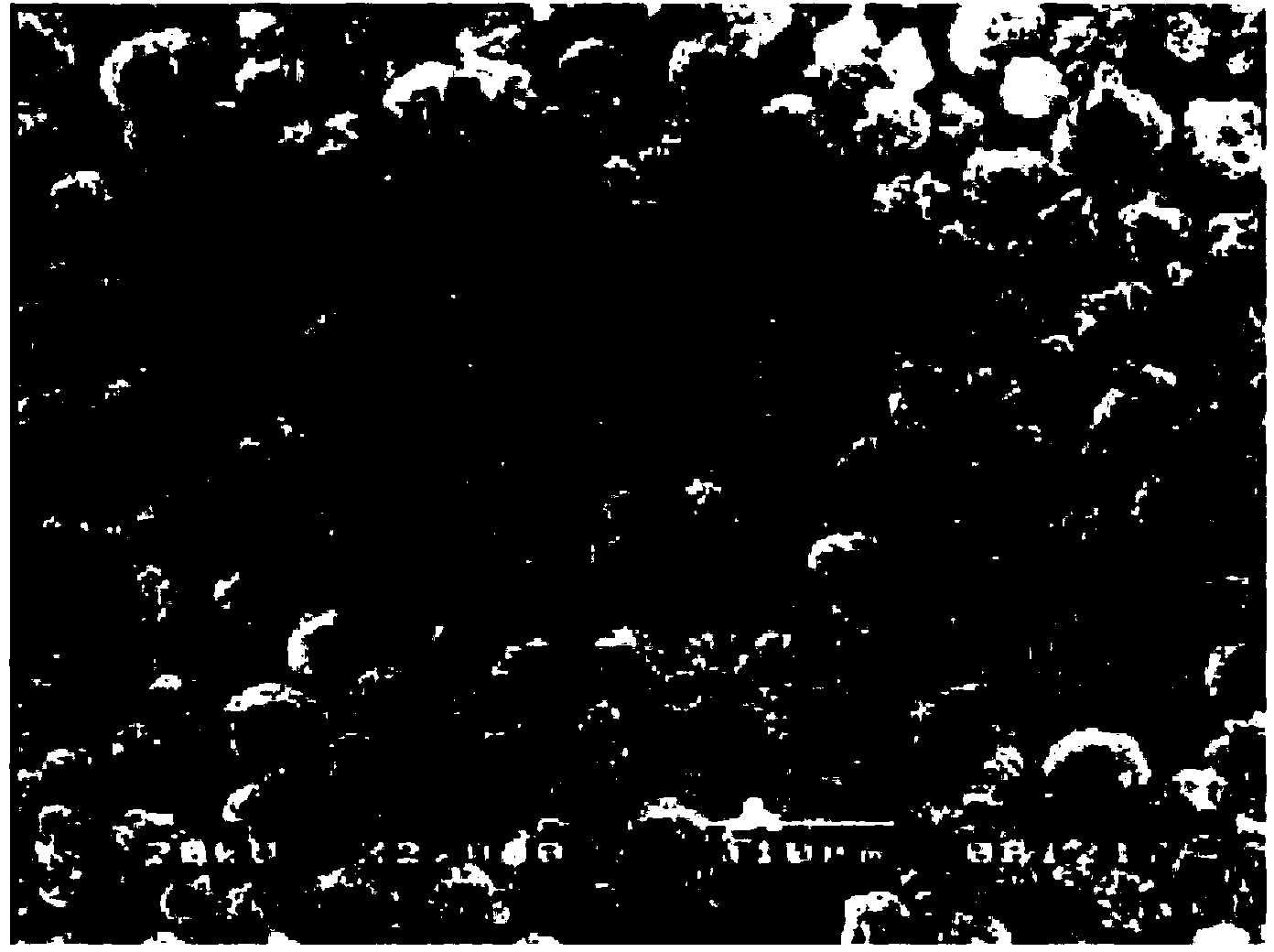 Spherical magnesium hydroxide particle, spherical magnesium oxide particle, and method for producing same