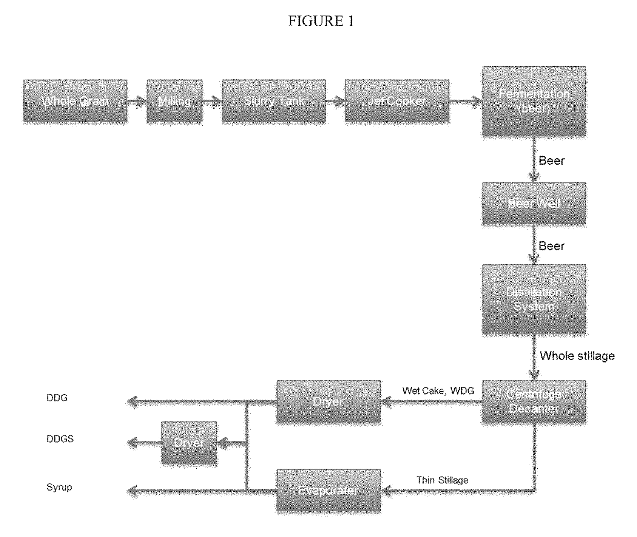 Producing recoverable oil from fermentation processes