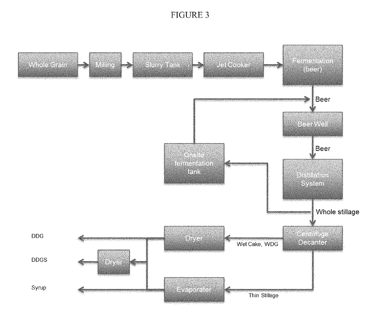 Producing recoverable oil from fermentation processes