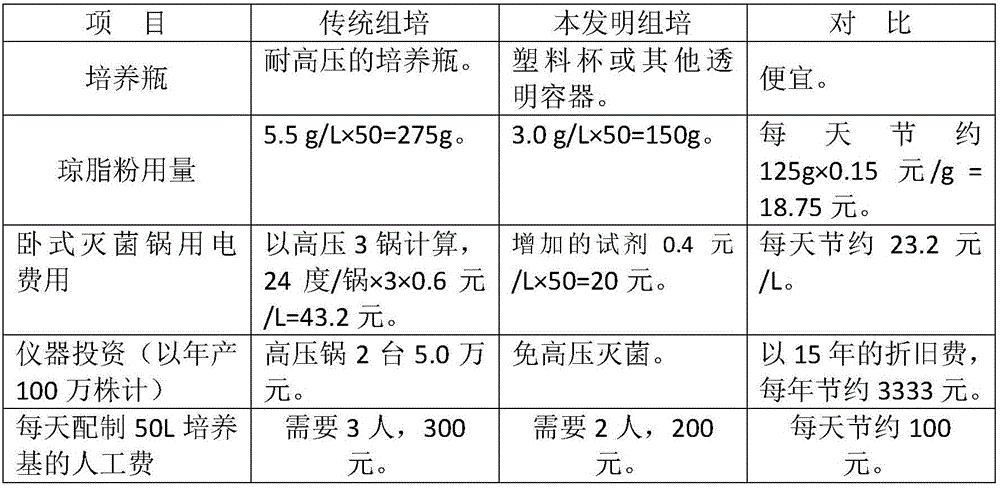 Tissue culture method of culturing erianthus arundinaceus by employing bacteriostatic culture medium